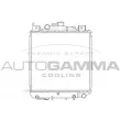 Radiateur, refroidissement du moteur AUTOGAMMA [102340]