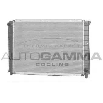 AUTOGAMMA 102385 - Radiateur, refroidissement du moteur