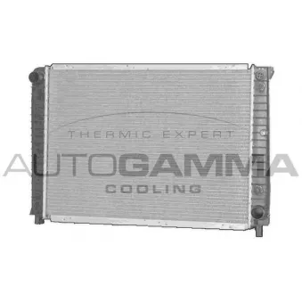 Radiateur, refroidissement du moteur AUTOGAMMA OEM 8603855
