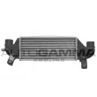 AUTOGAMMA 102401 - Intercooler, échangeur