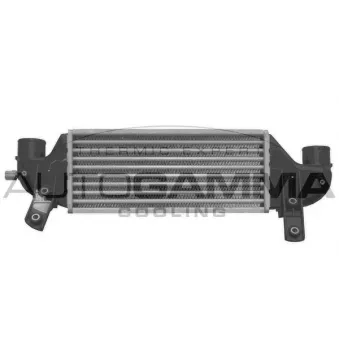 Intercooler, échangeur AUTOGAMMA OEM 1671439