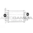 Intercooler, échangeur AUTOGAMMA [102404]