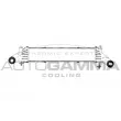 AUTOGAMMA 102413 - Intercooler, échangeur