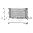 Condenseur, climatisation AUTOGAMMA [102676]