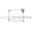 Condenseur, climatisation AUTOGAMMA [102733]
