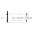 AUTOGAMMA 102763 - Condenseur, climatisation