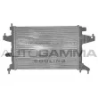 AUTOGAMMA 102849 - Radiateur, refroidissement du moteur