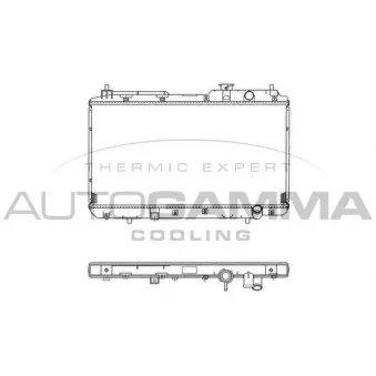 Radiateur, refroidissement du moteur AUTOGAMMA OEM 19010p3f004