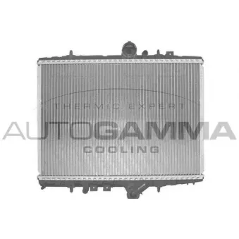 Radiateur, refroidissement du moteur AUTOGAMMA OEM 1331lc