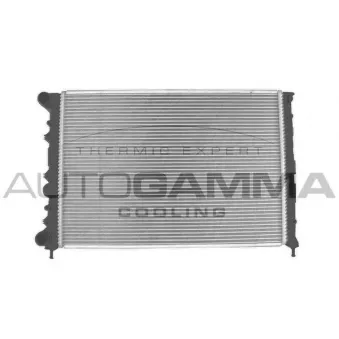 AUTOGAMMA 102864 - Radiateur, refroidissement du moteur
