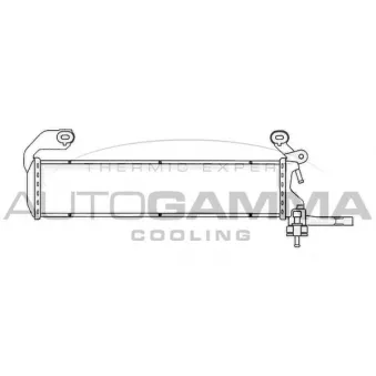 AUTOGAMMA 102924 - Radiateur, refroidissement du moteur
