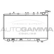 Radiateur, refroidissement du moteur AUTOGAMMA [102934]