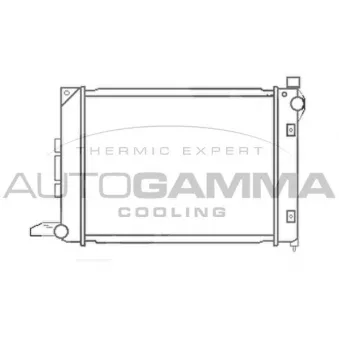 AUTOGAMMA 102939 - Radiateur, refroidissement du moteur