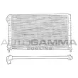 AUTOGAMMA 102962 - Radiateur, refroidissement du moteur