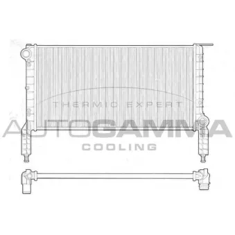 Radiateur, refroidissement du moteur AUTOGAMMA OEM 46803028