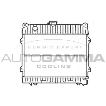 AUTOGAMMA 103033 - Radiateur, refroidissement du moteur