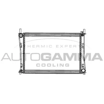 Radiateur, refroidissement du moteur AUTOGAMMA OEM 1222562