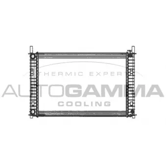 Radiateur, refroidissement du moteur AUTOGAMMA 103073