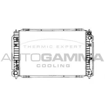 AUTOGAMMA 103076 - Radiateur, refroidissement du moteur