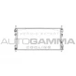 AUTOGAMMA 103094 - Radiateur, refroidissement du moteur