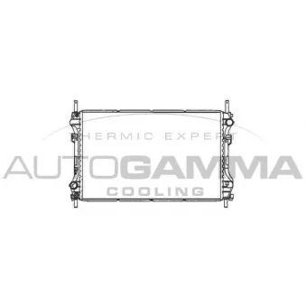 Radiateur, refroidissement du moteur AUTOGAMMA 103095