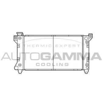 AUTOGAMMA 103135 - Radiateur, refroidissement du moteur