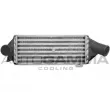 AUTOGAMMA 103147 - Intercooler, échangeur