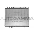AUTOGAMMA 103171 - Radiateur, refroidissement du moteur