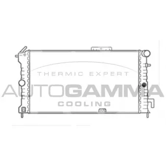 AUTOGAMMA 103184 - Radiateur, refroidissement du moteur