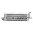 AUTOGAMMA 103208 - Intercooler, échangeur