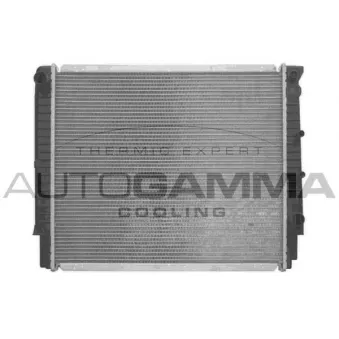 AUTOGAMMA 103256 - Radiateur, refroidissement du moteur