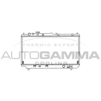 Radiateur, refroidissement du moteur AUTOGAMMA 103264