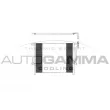 AUTOGAMMA 103298 - Condenseur, climatisation