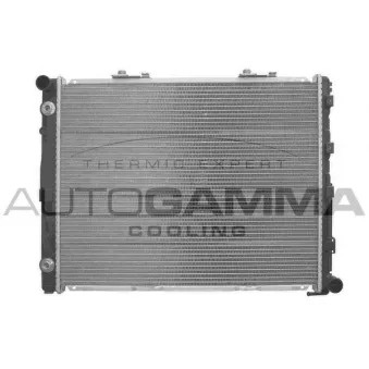 Radiateur, refroidissement du moteur AUTOGAMMA OEM 1245001402