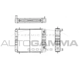 AUTOGAMMA 103361 - Radiateur, refroidissement du moteur