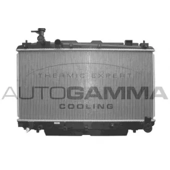 Radiateur, refroidissement du moteur AUTOGAMMA 103370