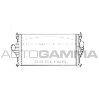 AUTOGAMMA 103379 - Intercooler, échangeur