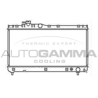 Radiateur, refroidissement du moteur AUTOGAMMA 103416