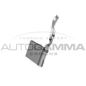 Système de chauffage AUTOGAMMA OEM 1301838