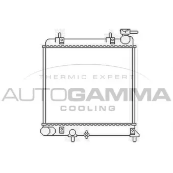 Radiateur, refroidissement du moteur AUTOGAMMA OEM 2531025Q11