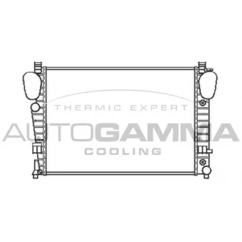 AUTOGAMMA 103462 - Radiateur, refroidissement du moteur