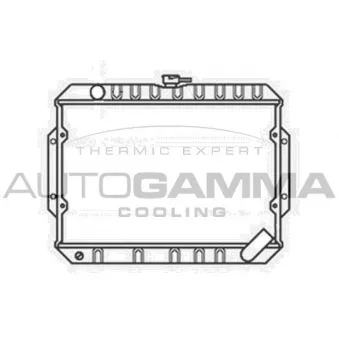 Radiateur, refroidissement du moteur AUTOGAMMA 103481