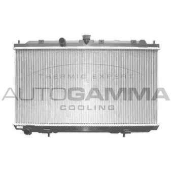 Radiateur, refroidissement du moteur AUTOGAMMA 103498