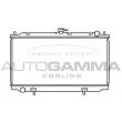 AUTOGAMMA 103502 - Radiateur, refroidissement du moteur