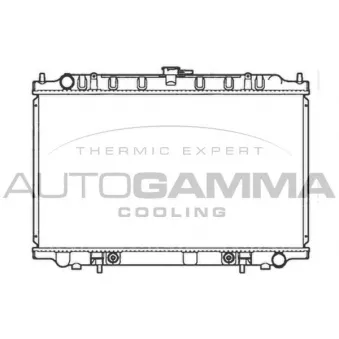 Radiateur, refroidissement du moteur AUTOGAMMA 103503