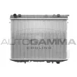 AUTOGAMMA 103511 - Radiateur, refroidissement du moteur
