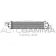 AUTOGAMMA 103522 - Intercooler, échangeur