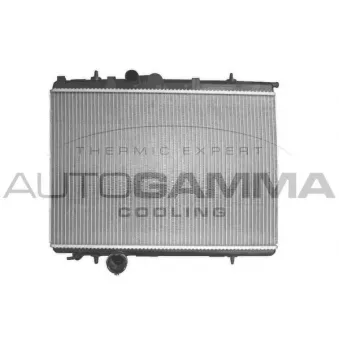 Radiateur, refroidissement du moteur AUTOGAMMA OEM 133320