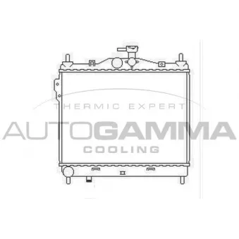 Radiateur, refroidissement du moteur AUTOGAMMA OEM 253101c106