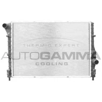 Radiateur, refroidissement du moteur AUTOGAMMA 103676